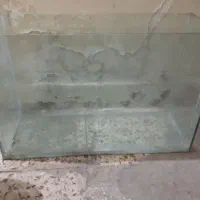 آکواریوم