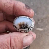 انگشتر شجر