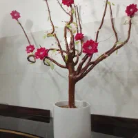 گل کریستالی