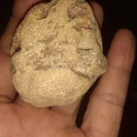شهاب‌سنگ