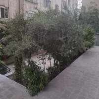 ۹۰ متر شهرآرا