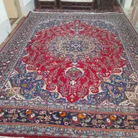 فرش دستباف ۱۲ متری در حد نو|فرش|سبزوار, جنت|دیوار