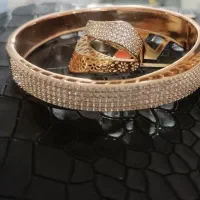 سرویس ژوپینگ|بدلیجات|کرمان, |دیوار