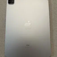 ipad pro 2021  256