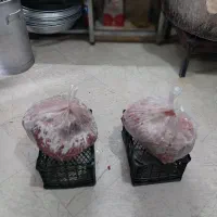 گوشت نخودی|خوردنی و آشامیدنی|تهران, خلیج فارس|دیوار