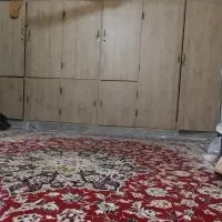 رهن خانه پشت بازار چه دکتر شکیبا