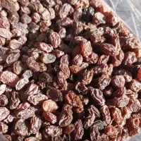 کشمش بیدانه|خوردنی و آشامیدنی|محمدیه-قزوین, |دیوار