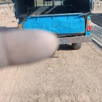 تیرچه بتنی،اکاستیو،میلگرد،بلوک سقفی|مصالح و تجهیزات ساختمان|تربت جام, میان جام|دیوار