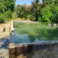 1-5-هکتار-باغ-گردشگری-توضیحات