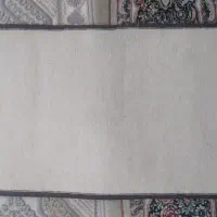 پالاز‌موکت