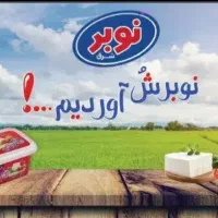 استخدام ویزیتور بازاریاب لبنیات