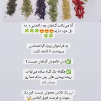 همایش مجازی رایگان گیاه شناسی برای بانوان