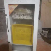 دستگاه جوجه کشی ارتا