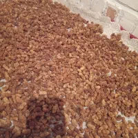 توت خشک