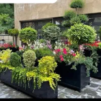 خدمات حرفهای باغبانی تعویض خاک گلدون کاشت گل