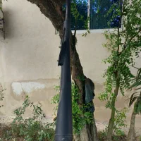 اگزوز