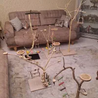 درخت پرندگان|لوازم جانبی حیوانات|مشهد, نیروی هوایی|دیوار