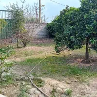 ۲۵۰ متر زمین داخل بافت|فروش زمین و ملک کلنگی|زرگرشهر, |دیوار