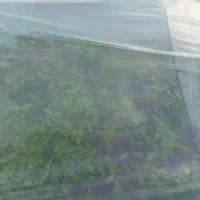 فروش نشاءگوجه