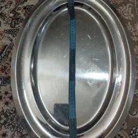 دیس استیل و مرغ خوری استیل