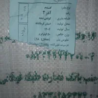 ۲۰۰کیلو گندم اصلاح شده اذر ۲