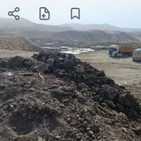 خدمات باغبانی و درختکاری