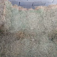 یونجه چین دوم|خدمات باغبانی و درختکاری|دره رود, |دیوار