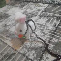 اسباب بازی عمده|اسباب‌‌بازی|تبریز, |دیوار