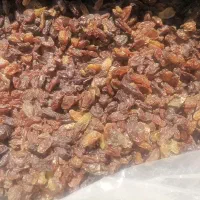 کشمش ابگیری کاشمر بازدهی بالا