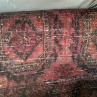 فرش دستی سنتی|فرش|مشهد, مهدی آباد|دیوار