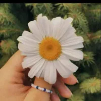 همایش ویژه کارآفرینی و اشتغالزایی