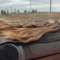 خریدار اصلی موی بانوان بدون واسطه