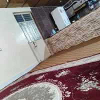 قالی|فرش|مسجد سلیمان, |دیوار