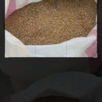 گندم مهرگان