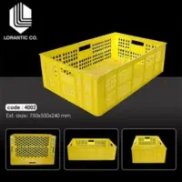 پخش انواع سبد ماهی