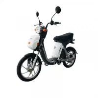 موتور برقی شارژی مدل ثمین