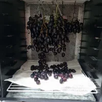 میوه خشک کن صنعتی ۱۰ و ۳۰ و ۵۰ کیلویی تراشه|ماشینآلات صنعتی|شیراز, درکی|دیوار