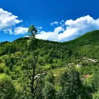 زمین