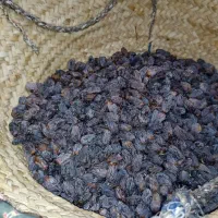 خرما|خوردنی و آشامیدنی|بوشهر, |دیوار