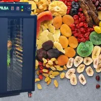 دستگاه خشک کن میوه و سبزی دائم کار 200 pls