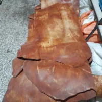 چرم گاوی وگاومیش سنتی