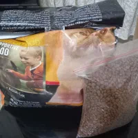 غذای خشک گربه