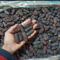 خرمای برندیک جنوب حاجی‌آباد فله