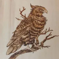 عقاب