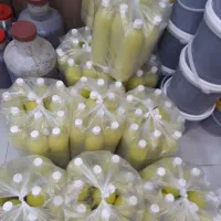 آبلیمو تازه