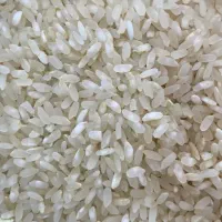 برنج اصل کامفیروزی به شرط
