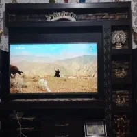 میز تلویزیون سالم