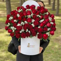 رز هلندی شاخه ای ۲۰|گل و گیاه طبیعی|کرج, فاز ۱ مهرشهر|دیوار