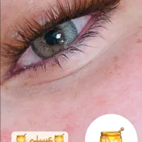 کاشت مژه و آموزش کاشت مژه لیفت ابرو و مژه|خدمات آرایشگری و زیبایی|شیراز, قصرالدشت|دیوار