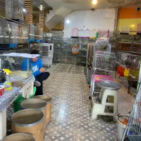 وسایل جانبی حیوانات|لوازم جانبی حیوانات|تبریز, |دیوار